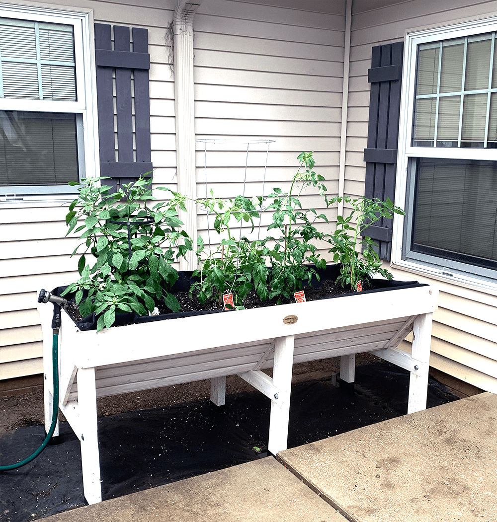 raised-beds-1