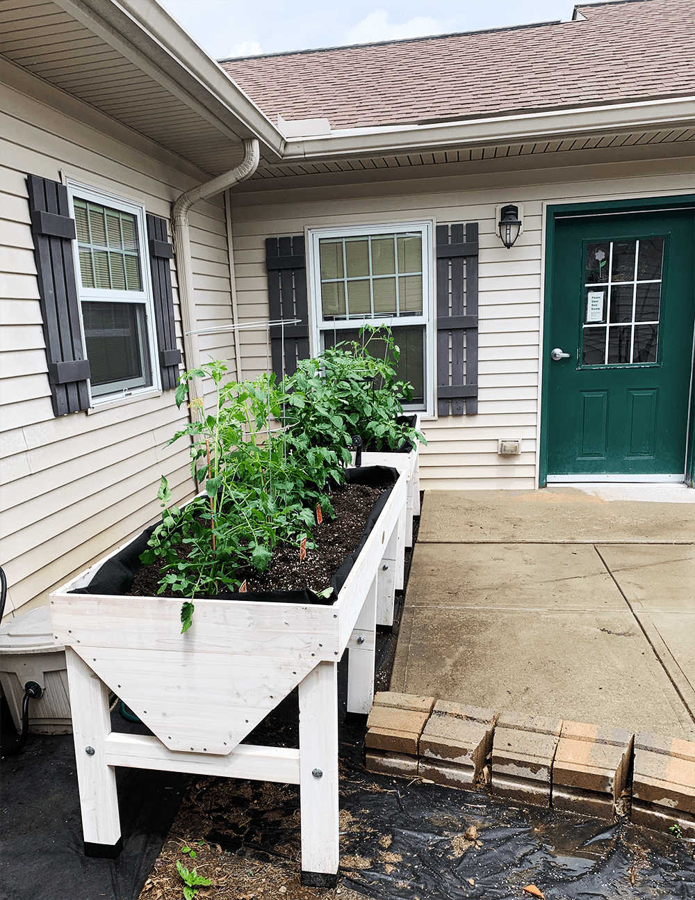 raised-beds-2